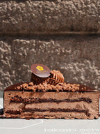 XOCOTRUFA